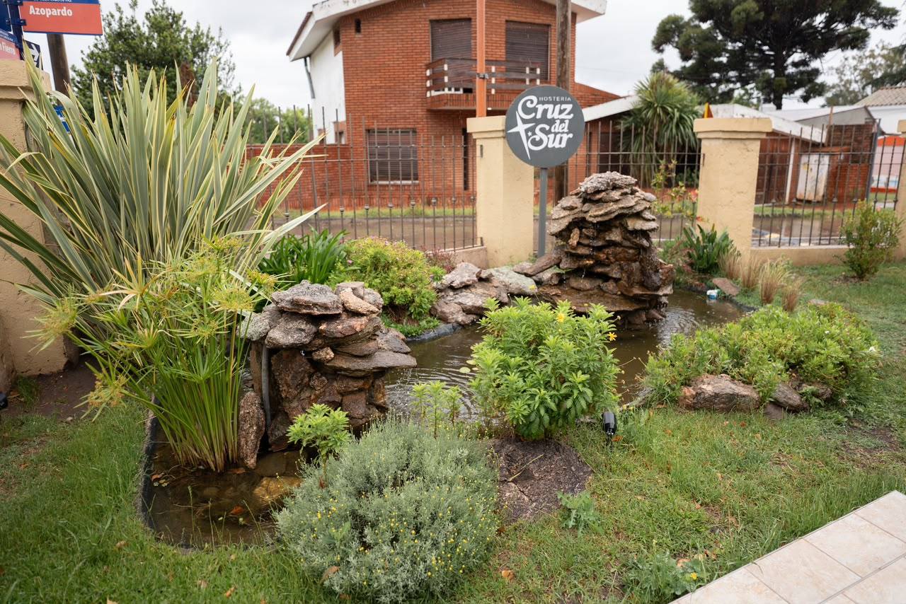 Patio y jardín